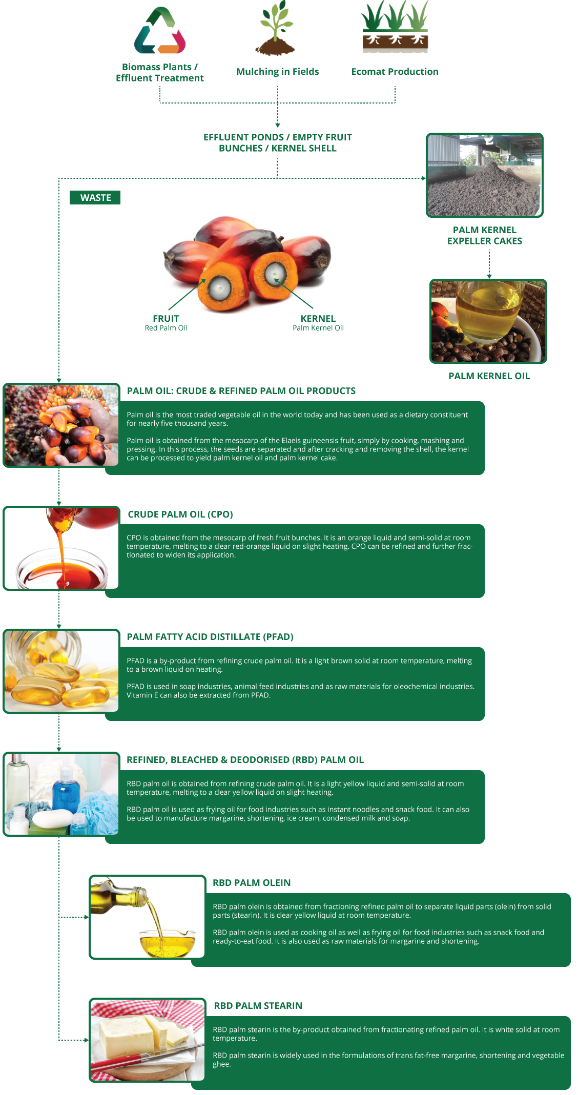 Palm Kernel Oil  Crystal Dates Company